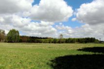 Działka budowlana Brzeziniec. Zdjęcie 1