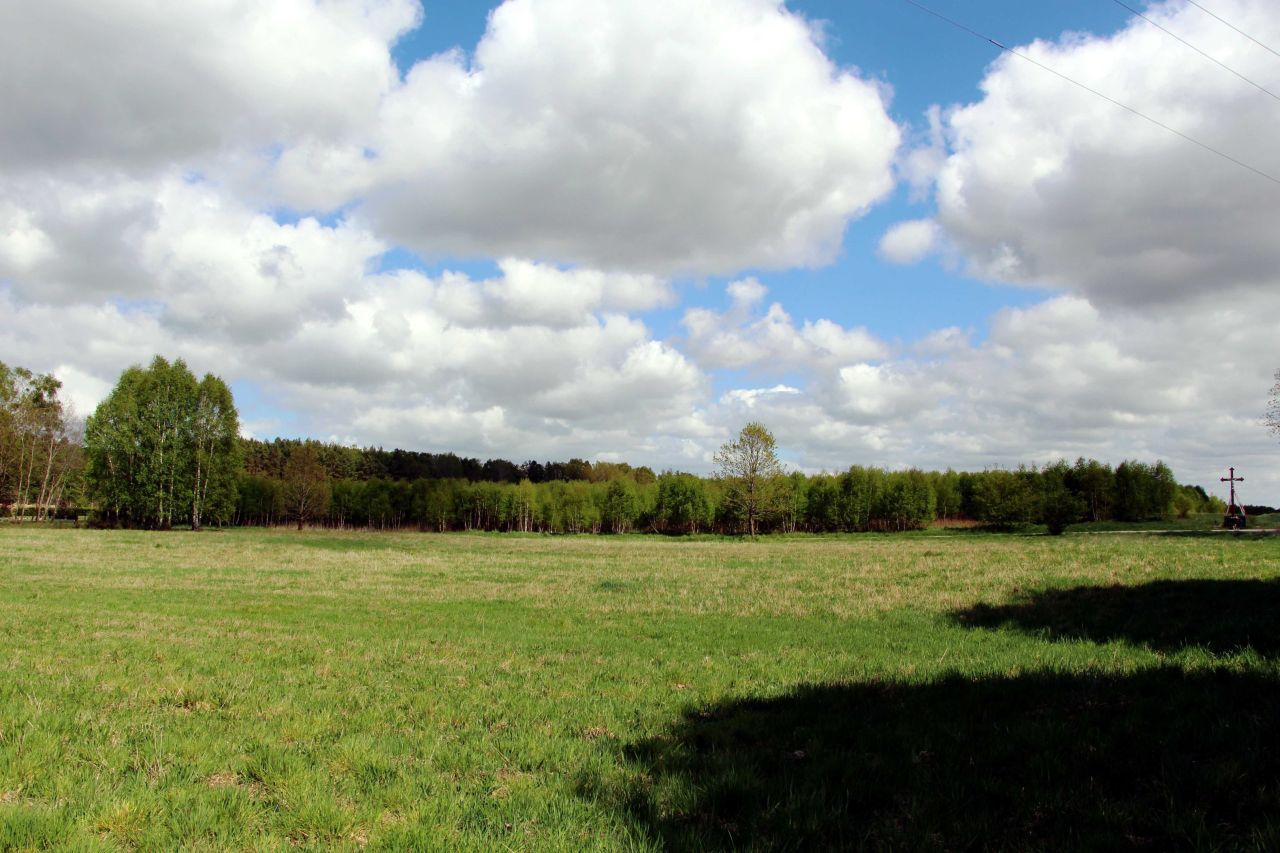Działka budowlana Brzeziniec. Zdjęcie 2