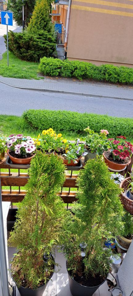 Mieszkanie 2-pokojowe Pabianice Bugaj, ul. Bugaj. Zdjęcie 17