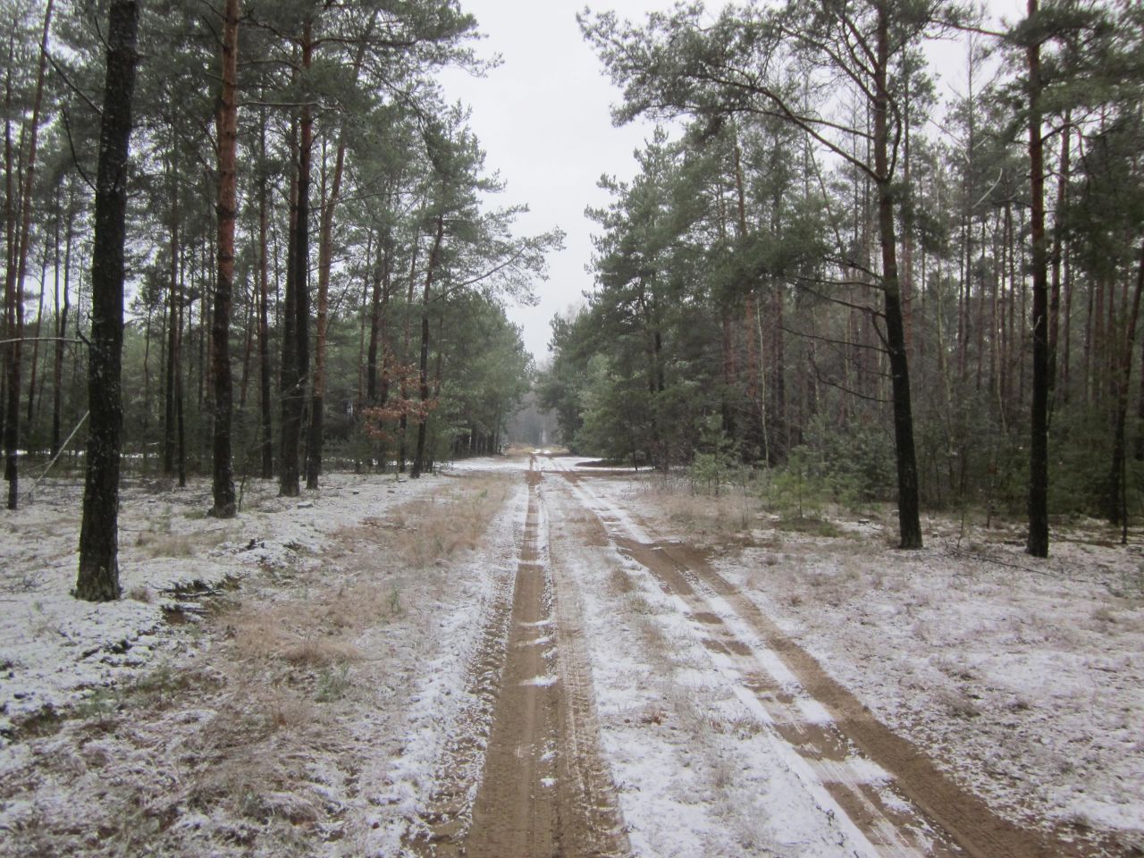 Działka rolno-budowlana Olszewka