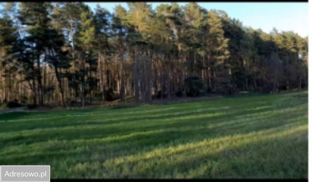 Działka rolna Barłogi kolonia. Zdjęcie 1