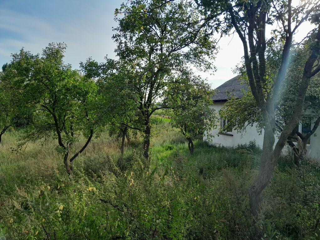 dom wolnostojący, 2 pokoje Pustki Działyńskie. Zdjęcie 2