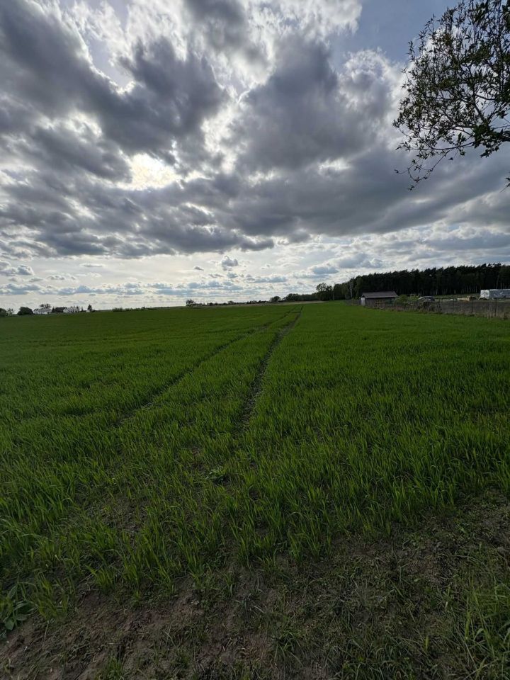 Działka budowlana Jabłkowo. Zdjęcie 8