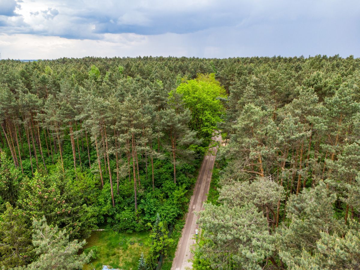 Działka inwestycyjna Słowak, ul. Droga Mleczna. Zdjęcie 8