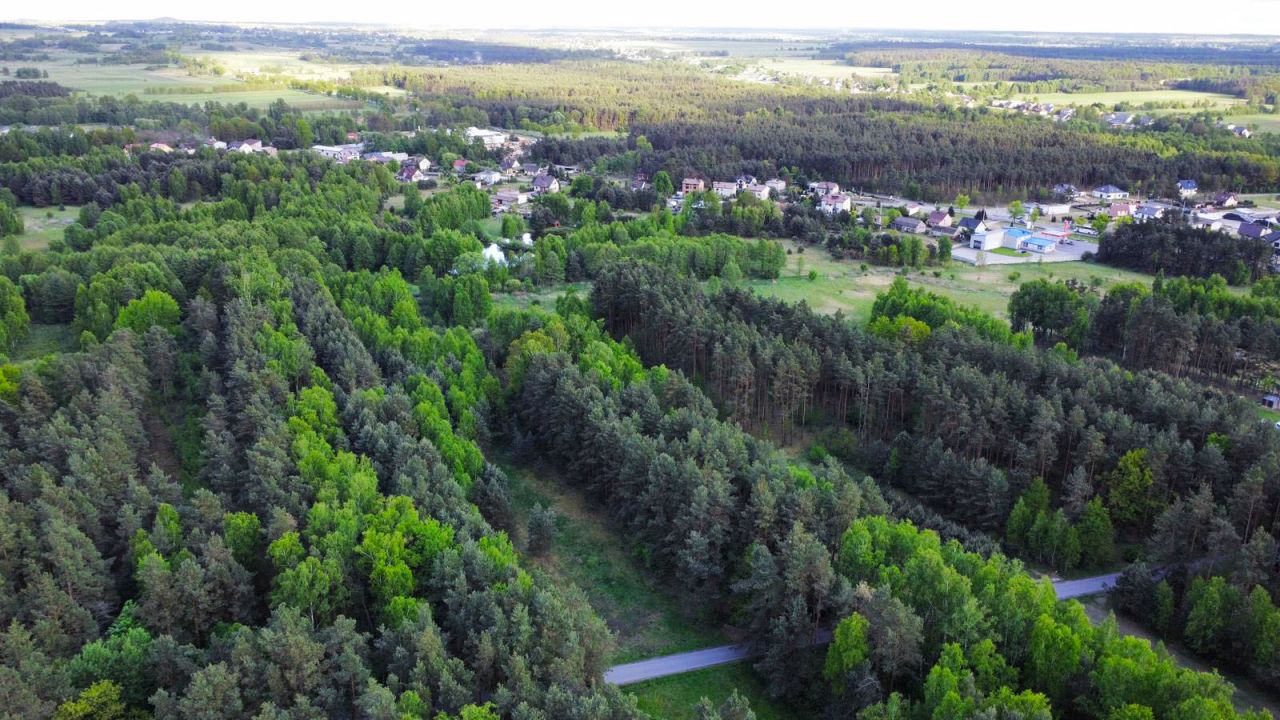 Działka budowlana Panki. Zdjęcie 6