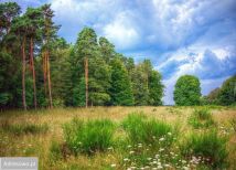 Działka rolno-budowlana Zendek. Zdjęcie 1