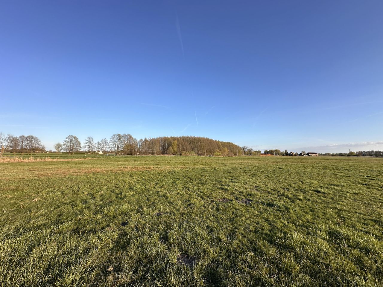 Działka budowlana Gościmiec. Zdjęcie 7