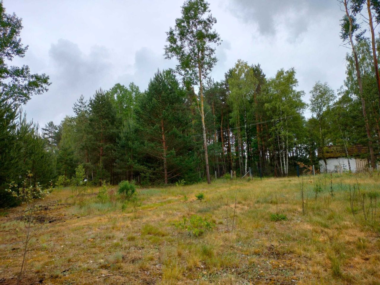 Działka budowlana Janów. Zdjęcie 6
