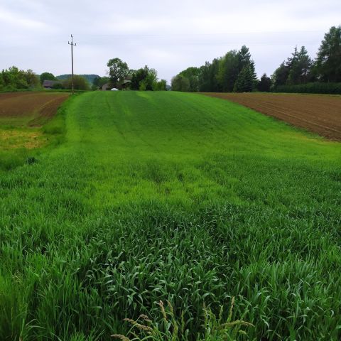 Działka budowlana Czułówek, ul. Za Szkołą. Zdjęcie 1