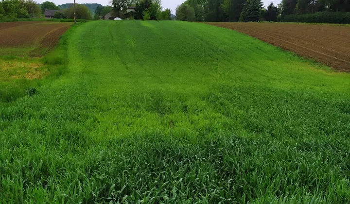 Działka budowlana Czułówek, ul. Za Szkołą