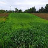 Działka budowlana Czułówek, ul. Za Szkołą