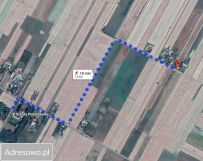 siedlisko Tchórzew-Kolonia. Zdjęcie 4