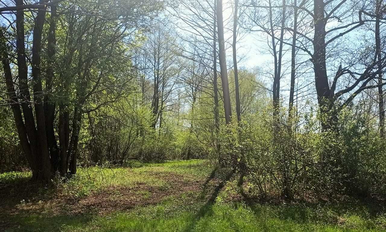 Działka siedliskowa Podbiel. Zdjęcie 3