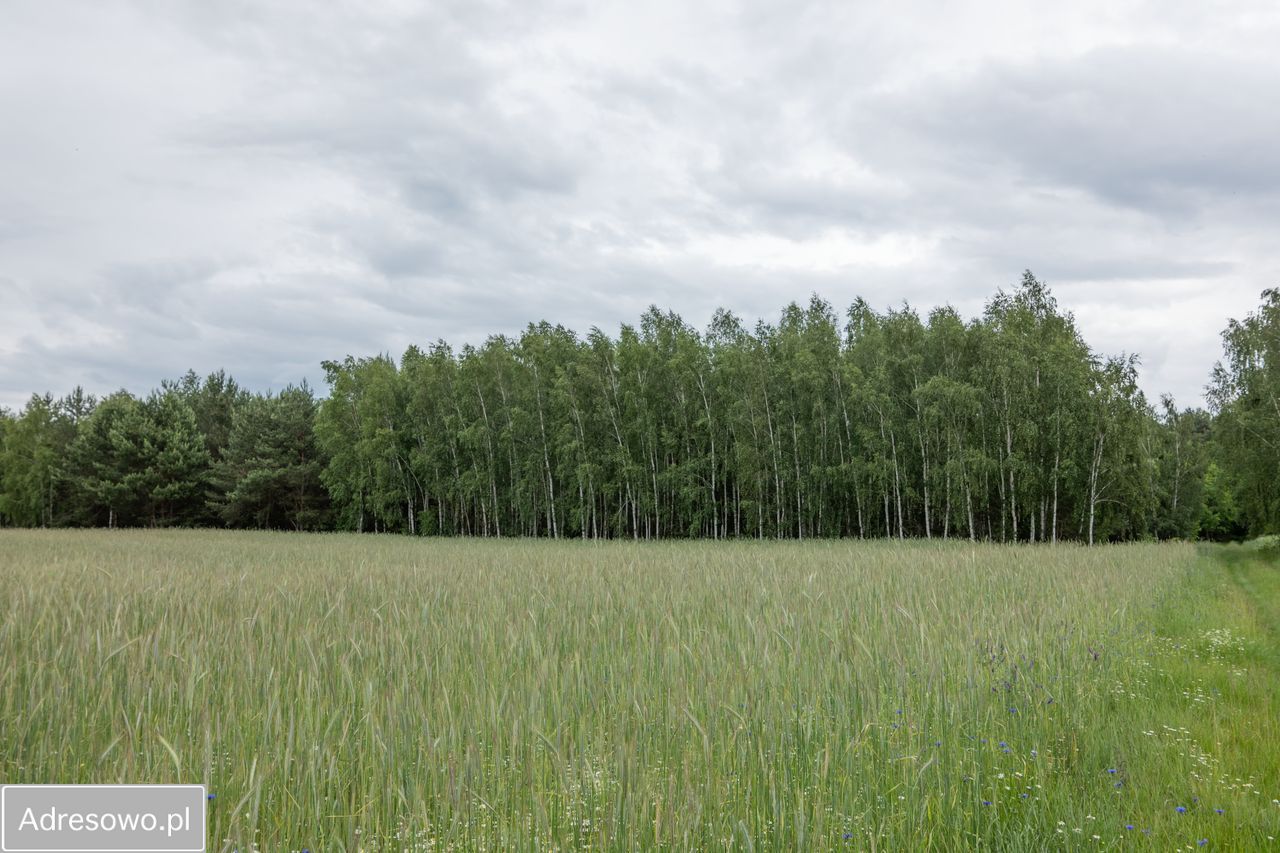 Działka Zofijówka. Zdjęcie 8