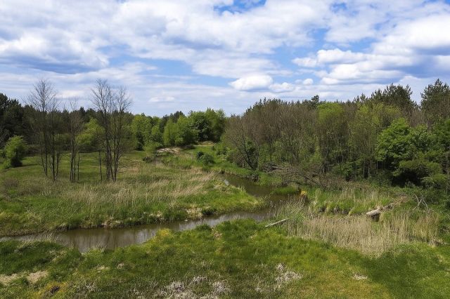 Działka rekreacyjna Rudnik nad Sanem. Zdjęcie 1
