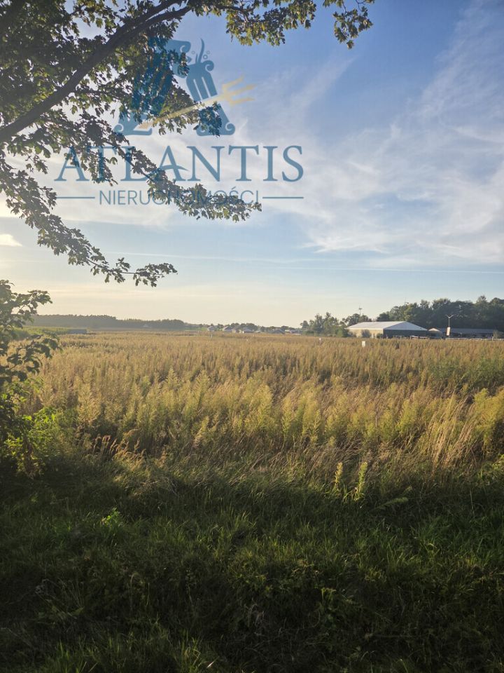 Działka budowlana Krążkowo. Zdjęcie 3