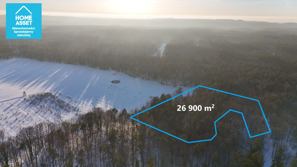 Działka rolna Bieszkowice. Zdjęcie 4