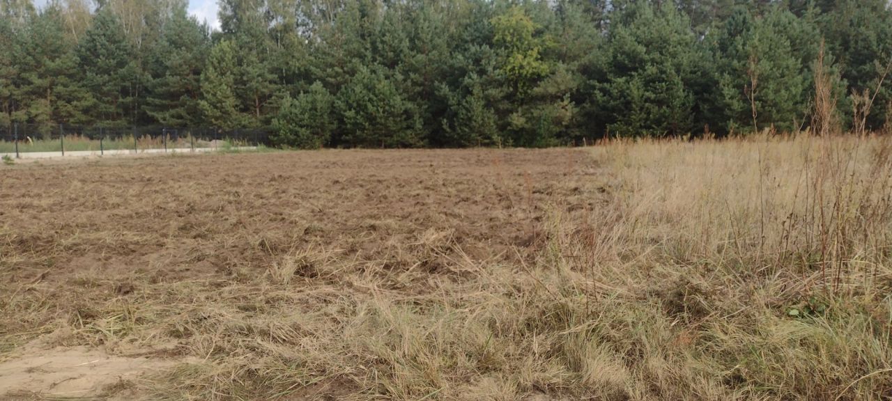 Działka rolna Bagienice Przątalina. Zdjęcie 2