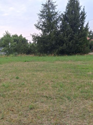 Działka budowlana Chwalęcice, ul. Leśna. Zdjęcie 1