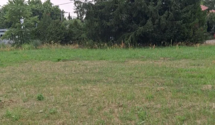 Działka budowlana Chwalęcice, ul. Leśna