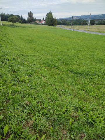Działka budowlana Tuchów, ul. Jana III Sobieskiego. Zdjęcie 1
