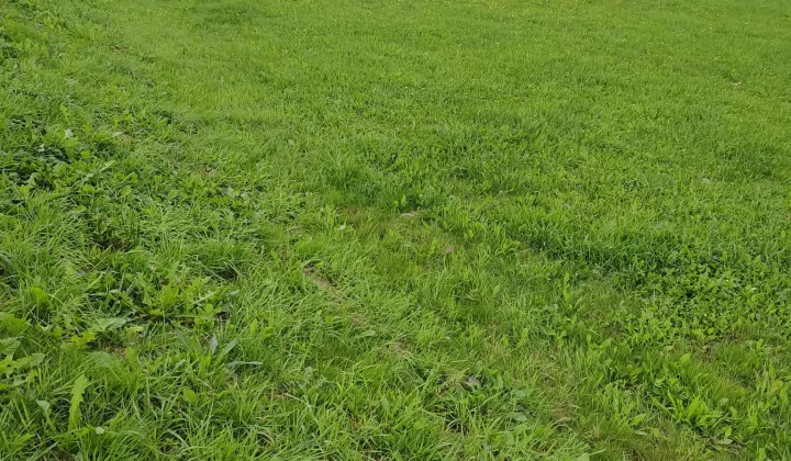 Działka budowlana Tuchów, ul. Jana III Sobieskiego