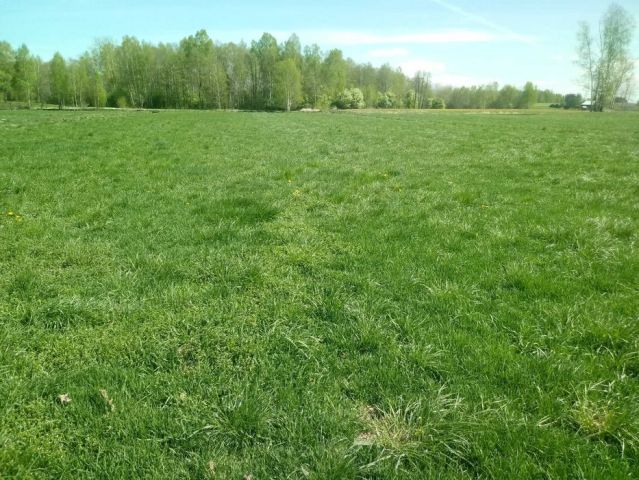 Działka rolna Lasanka. Zdjęcie 1