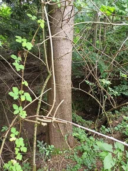 Działka budowlana Bieśnik. Zdjęcie 3