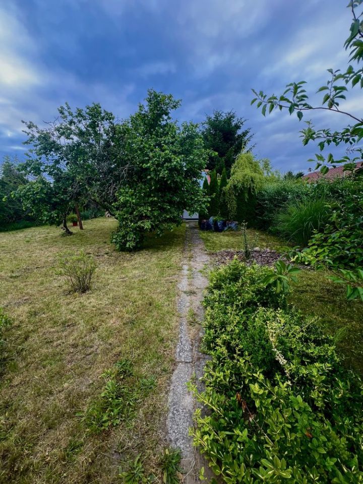 Działka rod Strzelce Krajeńskie. Zdjęcie 8