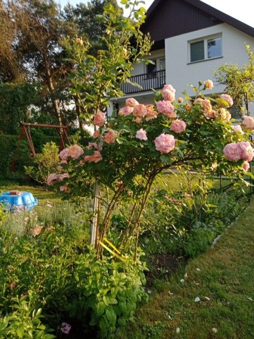 dom wolnostojący, 5 pokoi Biała Podlaska, ul. Łomaska. Zdjęcie 8