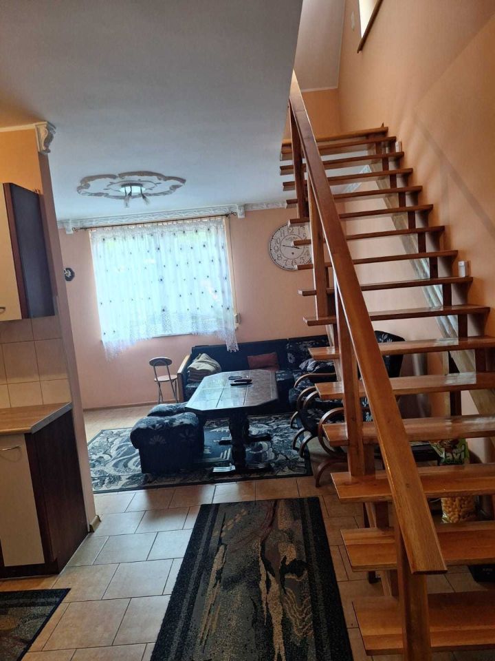 bliźniak Zimotki. Zdjęcie 7