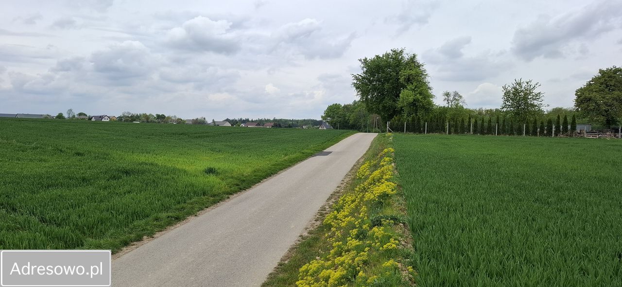 Działka rolna Wysocice Wiktorka. Zdjęcie 6