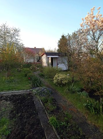 Działka rekreacyjna Gdynia Oksywie. Zdjęcie 1