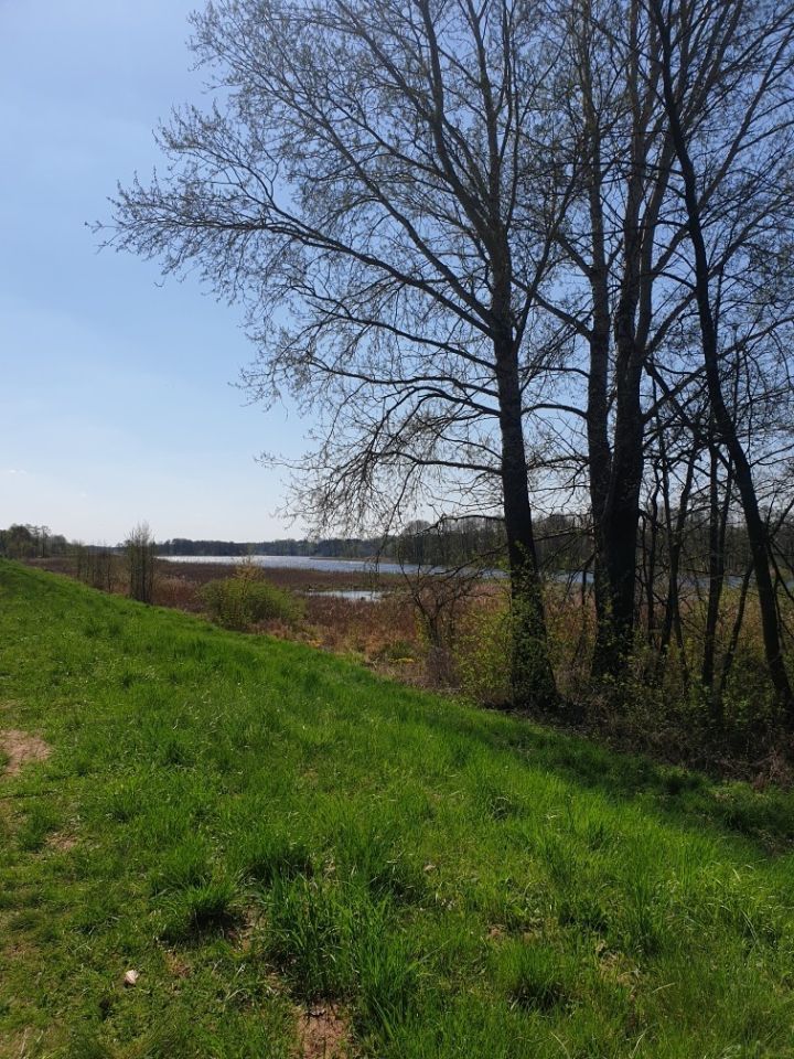 Działka Strzyże. Zdjęcie 5