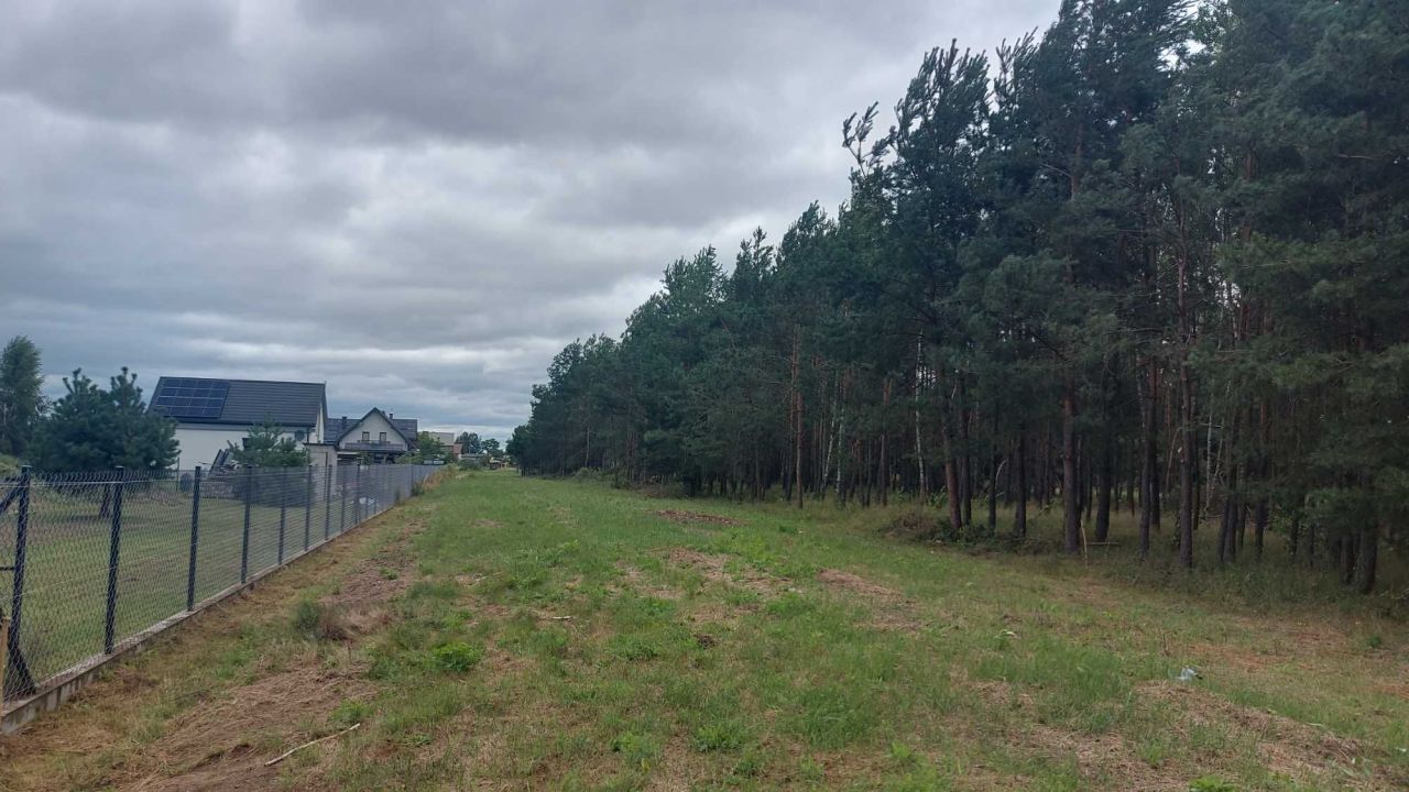 Działka rolno-budowlana Ryczywół. Zdjęcie 3