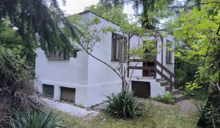 Działka rod Warszawa Paluch, ul. Kinetyczna