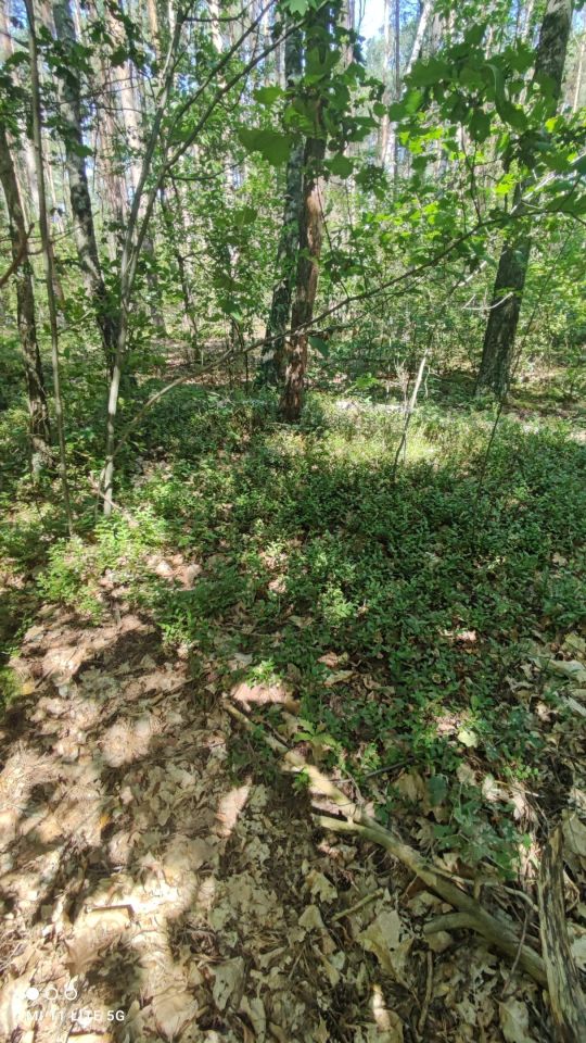 Działka budowlana Bądzyń, ul. Zbigniewa. Zdjęcie 2