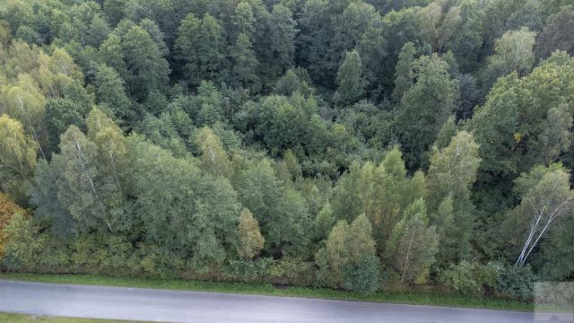 Działka budowlana Majdan Sieniawski. Zdjęcie 9