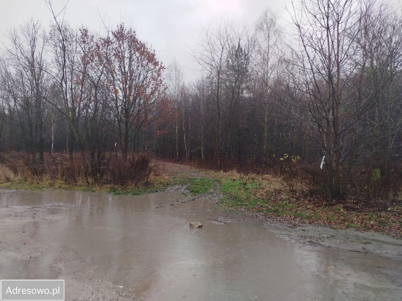 Działka budowlana Kobyłka, ul. ks. Władysława Rosłana. Zdjęcie 7