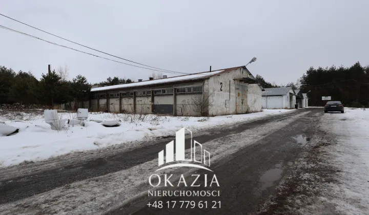 Hala/magazyn Wysoka Głogowska