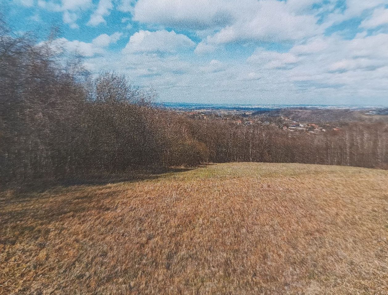 Działka rolno-budowlana Konary. Zdjęcie 5