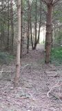 Działka rekreacyjna Mroczki-Kawki. Zdjęcie 2