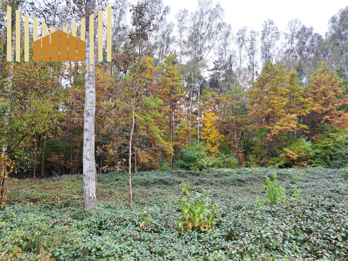 Działka budowlana Cegłów. Zdjęcie 9