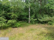 Działka budowlana Ostrowina. Zdjęcie 1