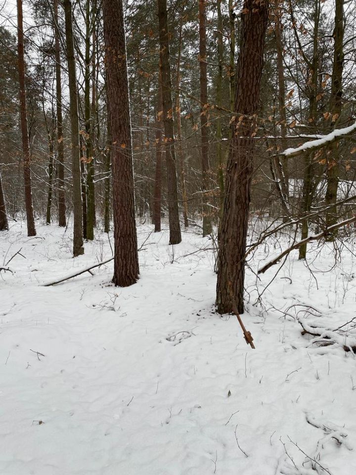 Działka budowlana Huta Szumy. Zdjęcie 2