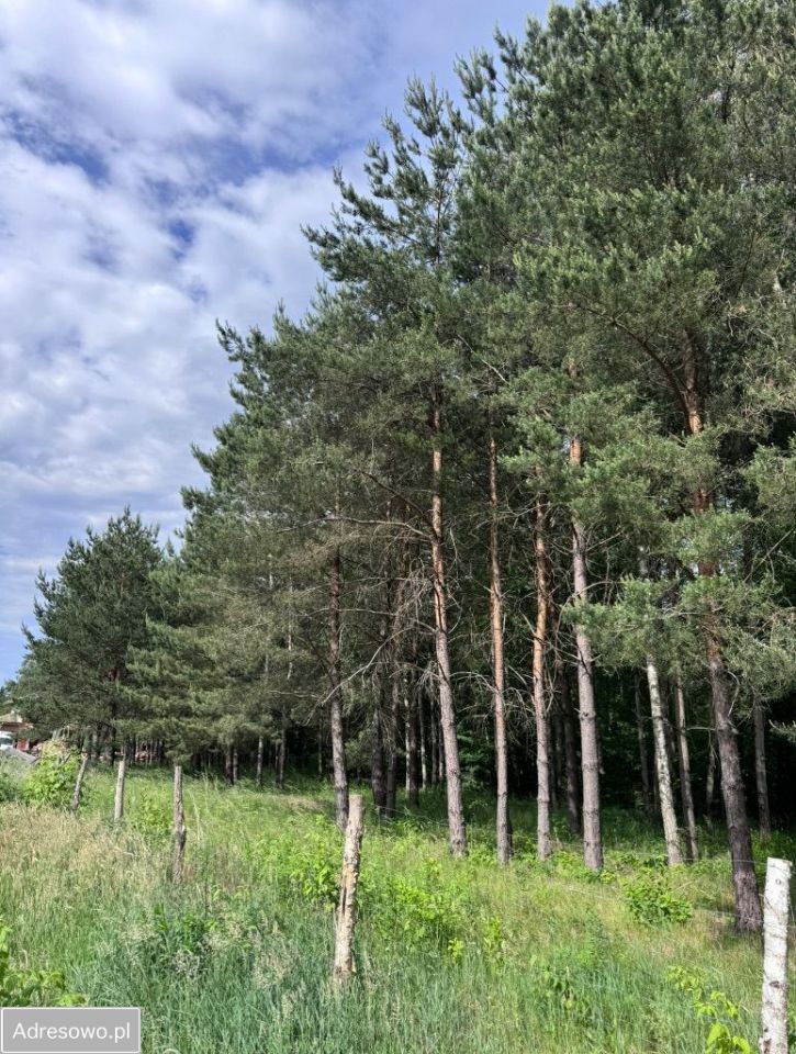 Działka budowlana Stara Wieś, ul. Głogowa. Zdjęcie 5