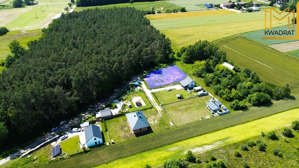 Działka Zwierzchów. Zdjęcie 6