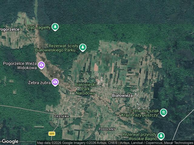 Działka rolno-budowlana Białowieża, ul. Żubrowa. Zdjęcie 1