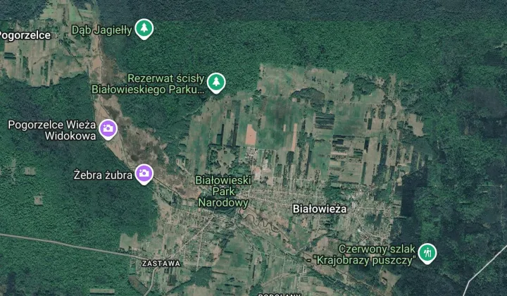 Działka rolno-budowlana Białowieża, ul. Żubrowa