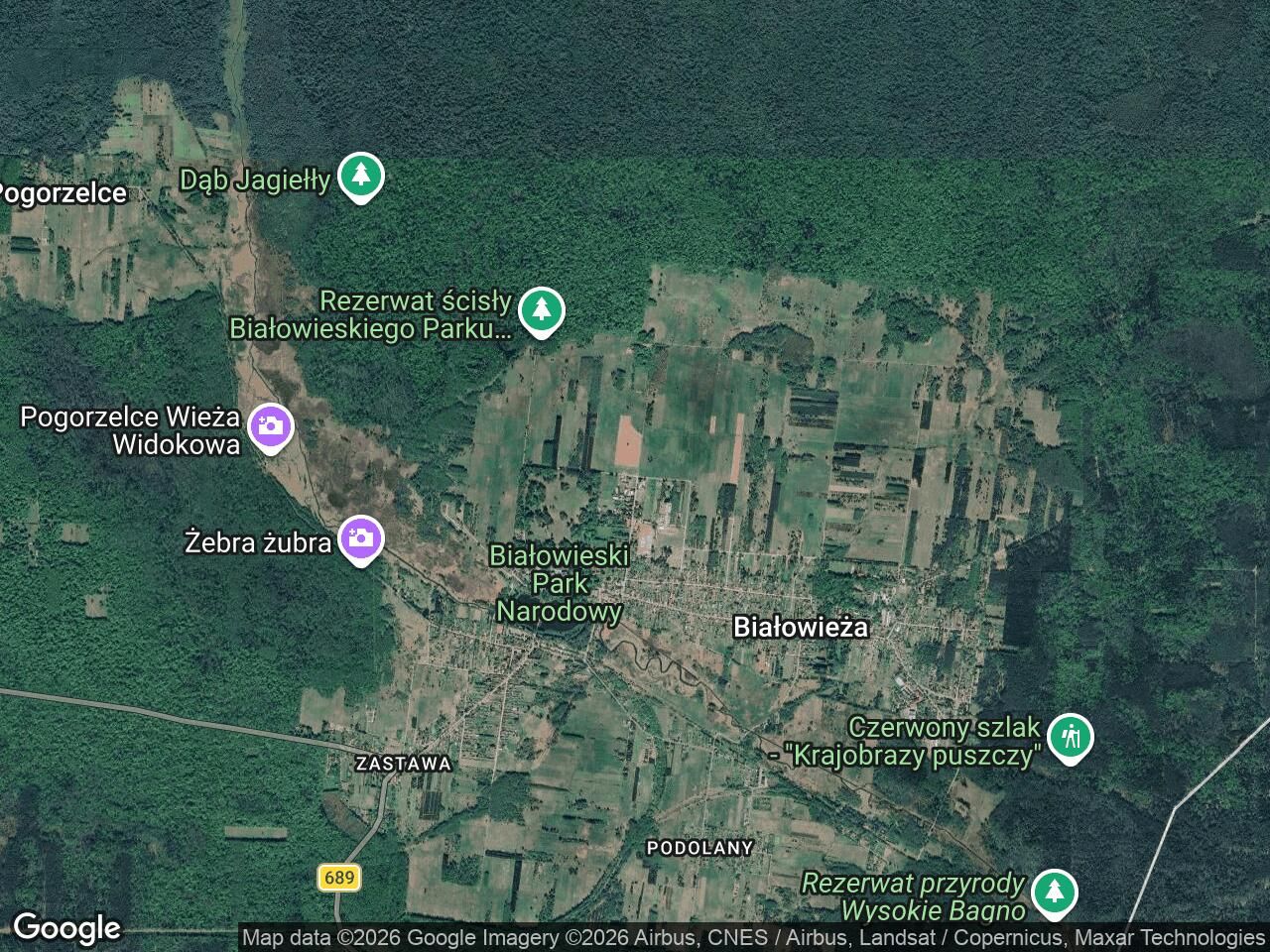 Działka rolno-budowlana Białowieża, ul. Żubrowa. Zdjęcie 1